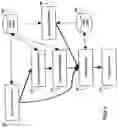 Fig. 07 - Automatic extraction of secondary video streams