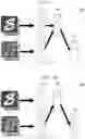 Fig. 07 - Neural network system, machine learning method, and program