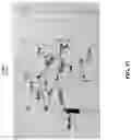 Fig. 12 - Deployment of deep neural networks (DNN) in embedded devices by means of peer-to-peer routing between computational points