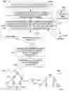 Fig. 09 - Economic optimization for product search relevancy