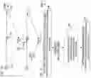 Fig. 10 - Economic optimization for product search relevancy