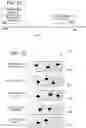 Fig. 10 - Systems and methods for optimizing maintenance plans in the presence of sensor data