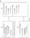 Fig. 03 - Parent level token issuance for asynchronous data processing based on device trust levels