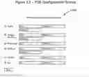 Fig. 14 - Systems and methods for enhanced data routing based on data prioritization