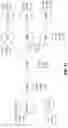 Fig. 12 - SYSTEMS AND METHODS FOR VISUALIZING A TRADE LIFE CYCLE AND DETECTING DISCREPANCIES