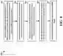 Fig. 09 - METHODS AND APPARATUS FOR MOTION COMPENSATION IN HIGH DYNAMIC RANGE PROCESSING