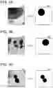 Fig. 04 - Image analysis device