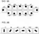 Fig. 06 - Image analysis device