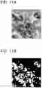 Fig. 17 - Image analysis device