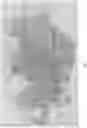 Fig. 02 - Artificial intelligence segmentation of tissue images