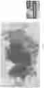 Fig. 04 - Artificial intelligence segmentation of tissue images