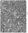 Fig. 05 - Artificial intelligence segmentation of tissue images