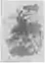 Fig. 08 - Artificial intelligence segmentation of tissue images