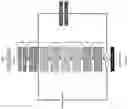Fig. 11 - Artificial intelligence segmentation of tissue images