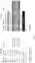 Fig. 12 - Artificial intelligence segmentation of tissue images