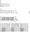 Fig. 13 - Artificial intelligence segmentation of tissue images