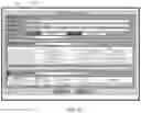 Fig. 06 - AUTHORIZED ACCESS EVALUATION AND REMEDIATION SYSTEM