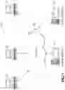 Fig. 02 - MULTI-GAMING VENDING MACHINE AND METHODS OF MANUFACTURING AND USE THEREOF