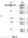 Fig. 04 - System and method for checkless cash advance settlement