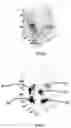 Fig. 07 - Toothbrush coaching system