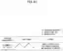 Fig. 10 - Organic light emitting diode display device