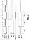 Fig. 07 - Display apparatus