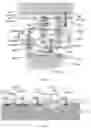 Fig. 22 - Display substrate and driving method thereof
