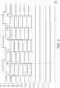 Fig. 06 - Liquid crystal driver, electronic apparatus, and mobile body