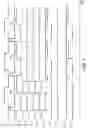 Fig. 08 - Liquid crystal driver, electronic apparatus, and mobile body