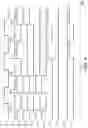Fig. 09 - Liquid crystal driver, electronic apparatus, and mobile body