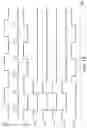 Fig. 14 - Liquid crystal driver, electronic apparatus, and mobile body