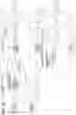 Fig. 21 - Liquid crystal driver, electronic apparatus, and mobile body