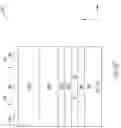 Fig. 20 - MEMORY DEVICE HAVING SHARED READ/WRITE DATA LINE FOR 2-TRANSISTOR VERTICAL MEMORY CELL