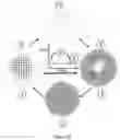 Fig. 12 - Switching skyrmions with VCMA/electric field for memory, computing and information processing