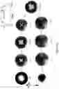 Fig. 17 - Switching skyrmions with VCMA/electric field for memory, computing and information processing