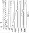 Fig. 15 - Semiconductor devices performing for column operation