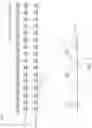Fig. 06 - Apparatuses and methods for distributed targeted refresh operations