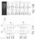 Fig. 13 - 2T-1R architecture for resistive RAM