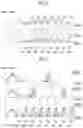 Fig. 12 - Memory device and operating method thereof