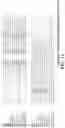 Fig. 14 - Human therapeutic targets and modulators thereof