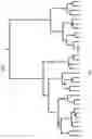 Fig. 08 - Direct variant phasing in long reads to detect quasispecies