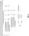 Fig. 09 - DNA-BASED DATA STORAGE AND RETRIEVAL