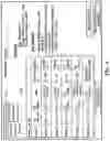 Fig. 07 - METHOD FOR INTERFACING MEDICAL INFORMATION BETWEEN A MEDICAL INFORMATION EXCHANGE AND COMPUTING ENTITIES