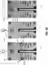 Fig. 09 - UPDATING AN ELECTRONIC MEDICAL RECORD BASED ON PATIENT GENERATED IMAGE DATA