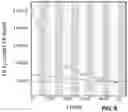 Fig. 10 - EXCITATION TRANSFER IMPLEMENTATIONS FOR NON-EXPONENTIAL DECAY OF RADIOACTIVE SPECIES