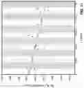 Fig. 12 - EXCITATION TRANSFER IMPLEMENTATIONS FOR NON-EXPONENTIAL DECAY OF RADIOACTIVE SPECIES
