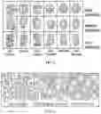 Fig. 03 - CONDUCTIVE PASTES FOR PATTERN TRANSFER PRINTING