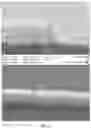 Fig. 06 - CONDUCTIVE PASTES FOR PATTERN TRANSFER PRINTING