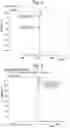 Fig. 04 - Method for simultaneous multicomponent analysis using mass spectrometry and mass spectrometer