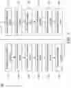 Fig. 06 - Semiconductor structure